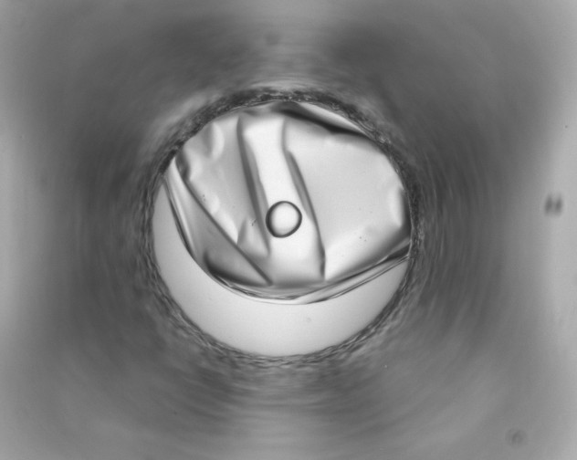 X0000090421398200708101931