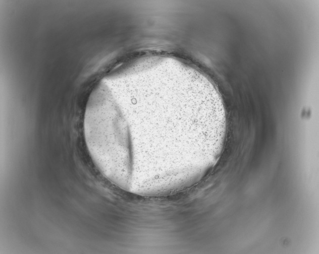 X0000090421399200708101931