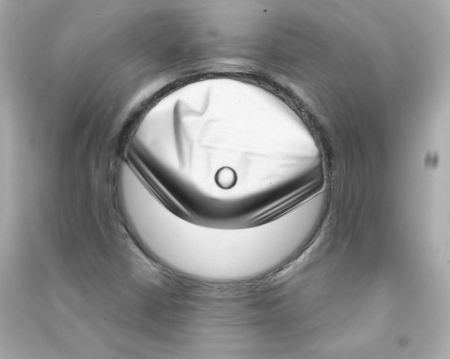 X0000090421402200708101931