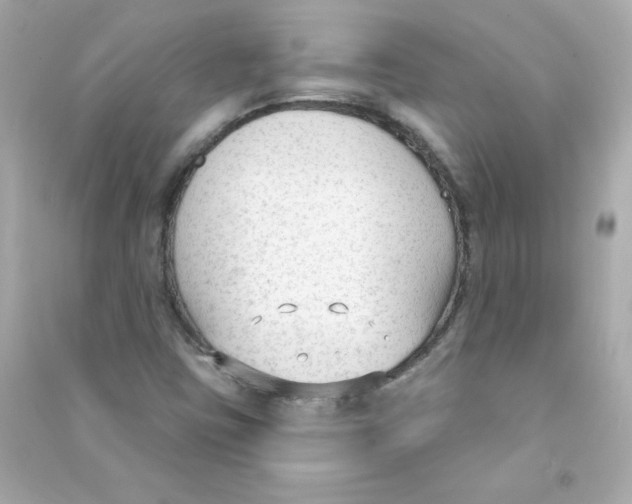 X0000090421403200708101931