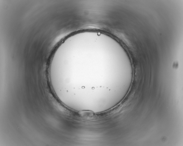 X0000090421404200708101931