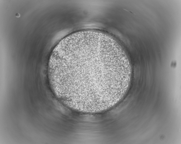 X0000090421405200708101931