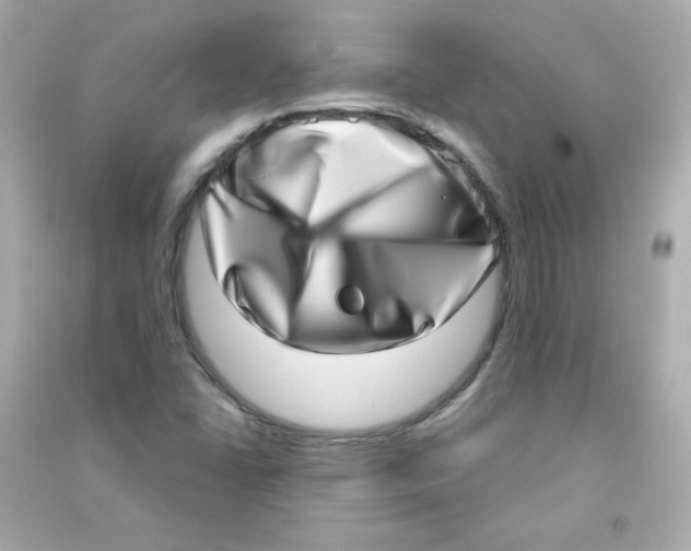 X0000090421406200708101931