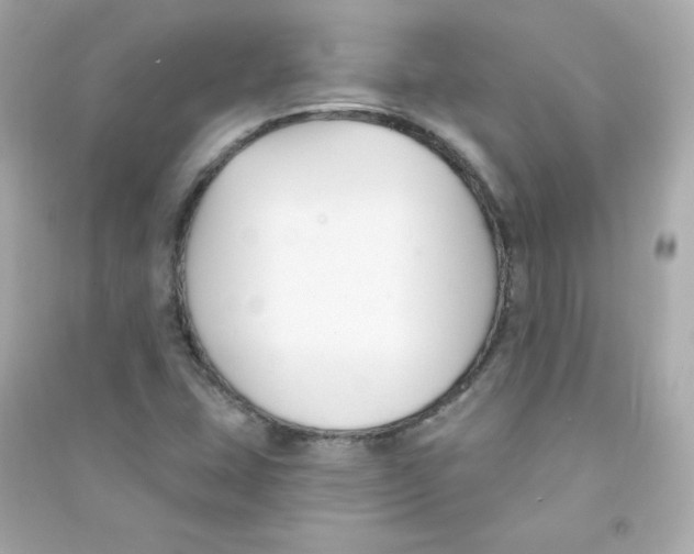 X0000090421407200708101931