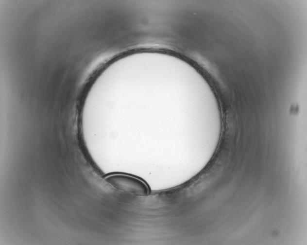 X0000090421408200708101931