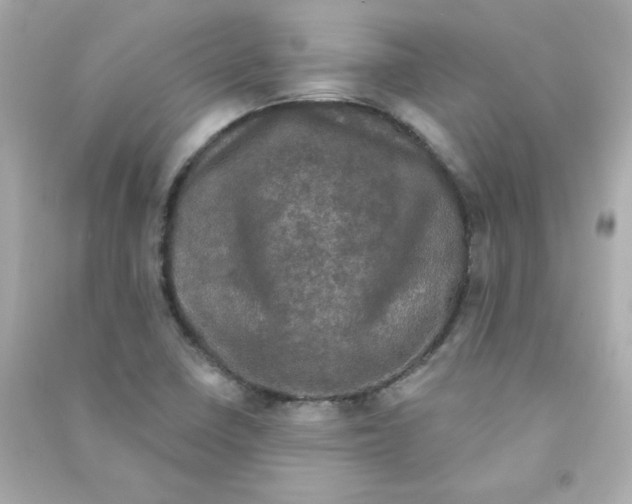 X0000090421410200708101931