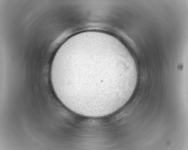 X0000090421411200708101931