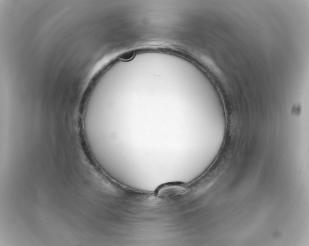 X0000090421412200708101931