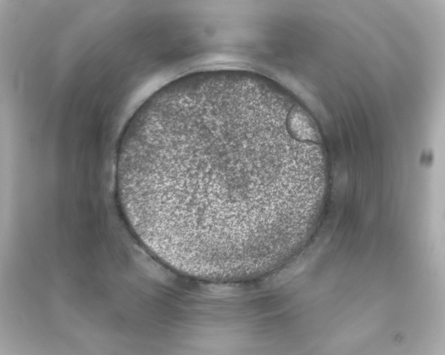 X0000090421413200708101932