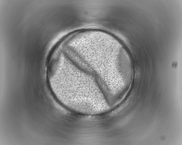 X0000090421414200708101932