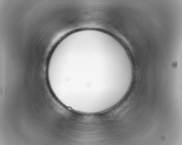 X0000090421416200708101932