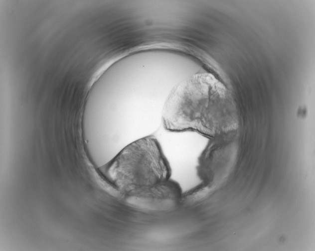 X0000090421417200708101932