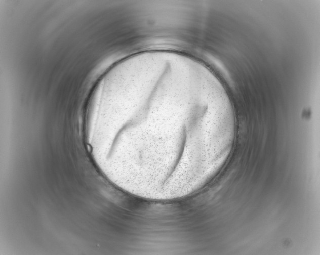 X0000090421419200708101932