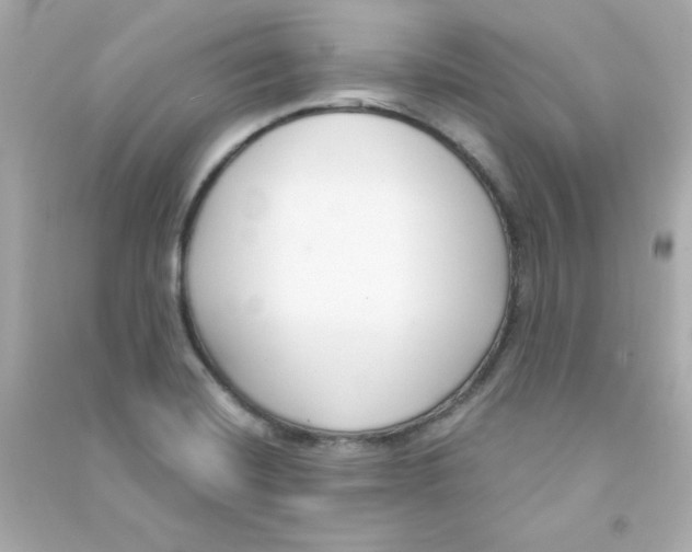 X0000090421420200708101932