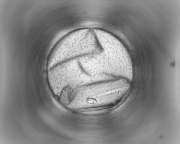 X0000090421421200708101932