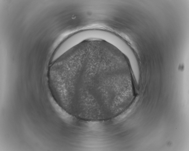 X0000090421422200708101932