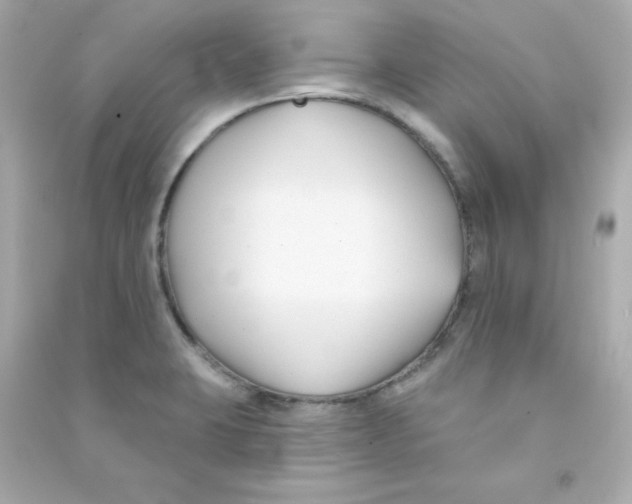 X0000090421423200708101932