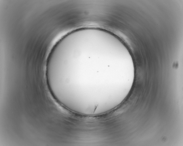 X0000090421424200708101932