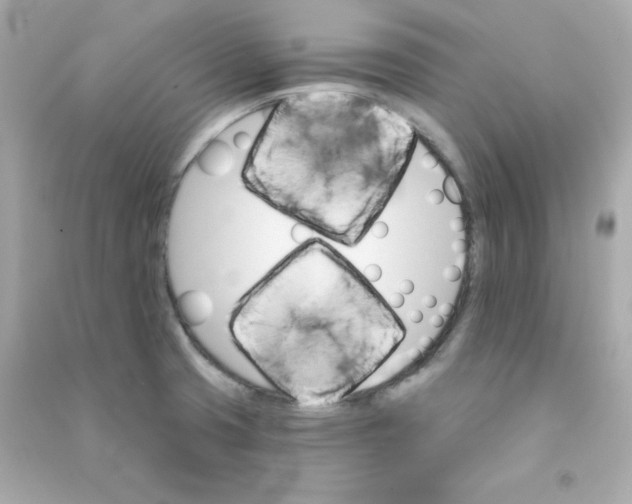 X0000090421425200708101932