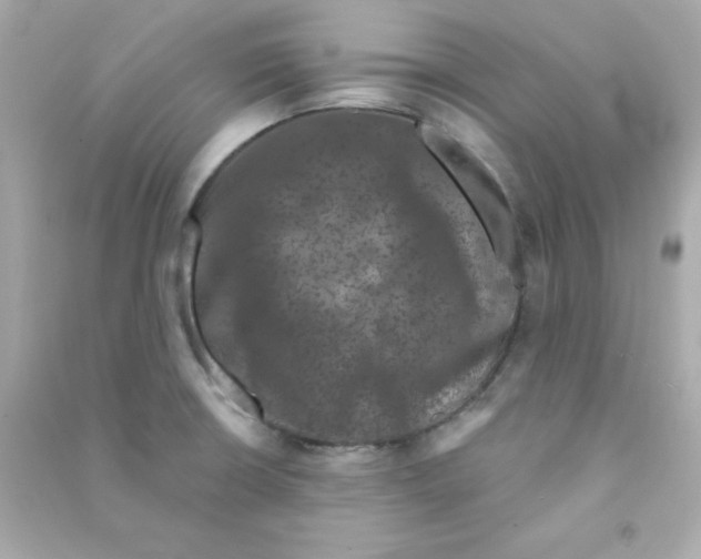 X0000090421426200708101932