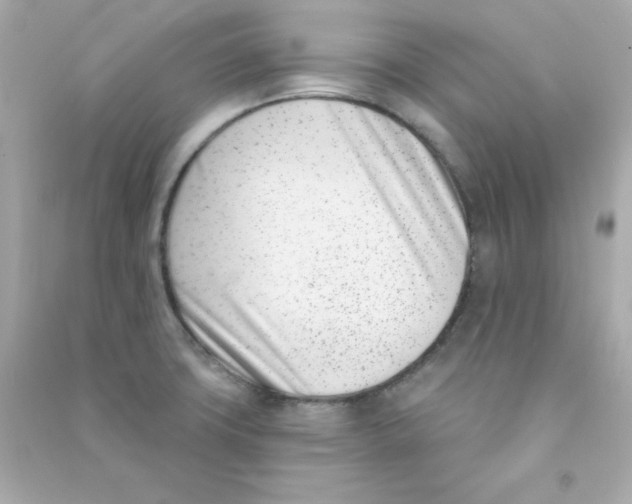 X0000090421427200708101932