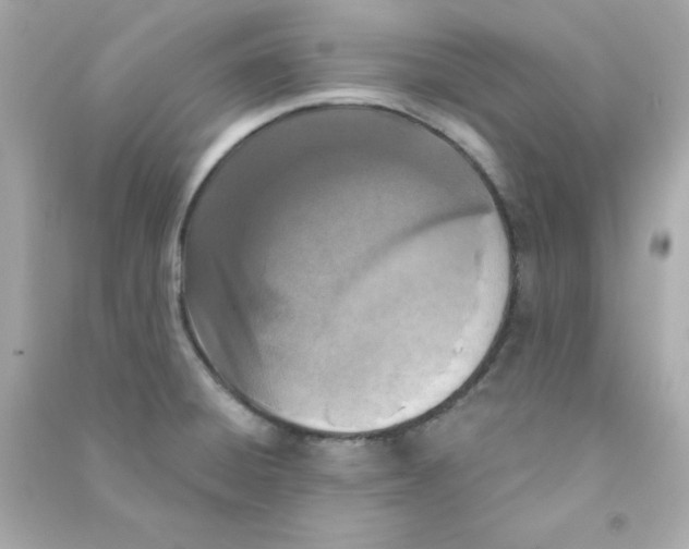 X0000090421428200708101932