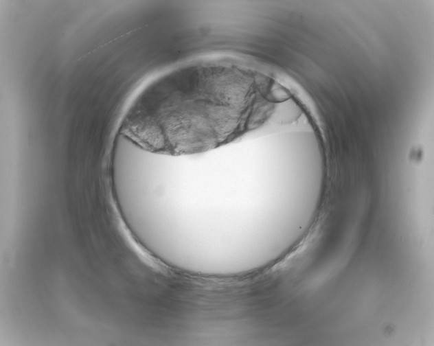 X0000090421429200708101932