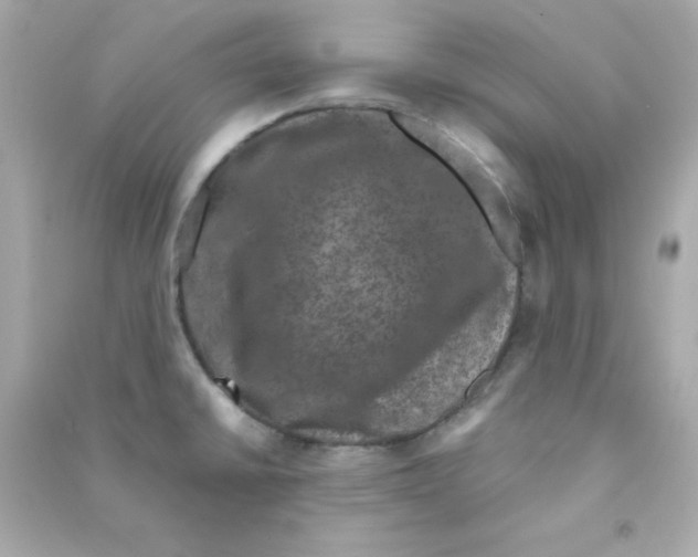 X0000090421430200708101932