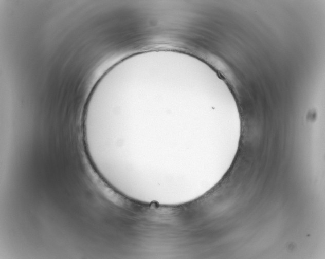 X0000090421431200708101932