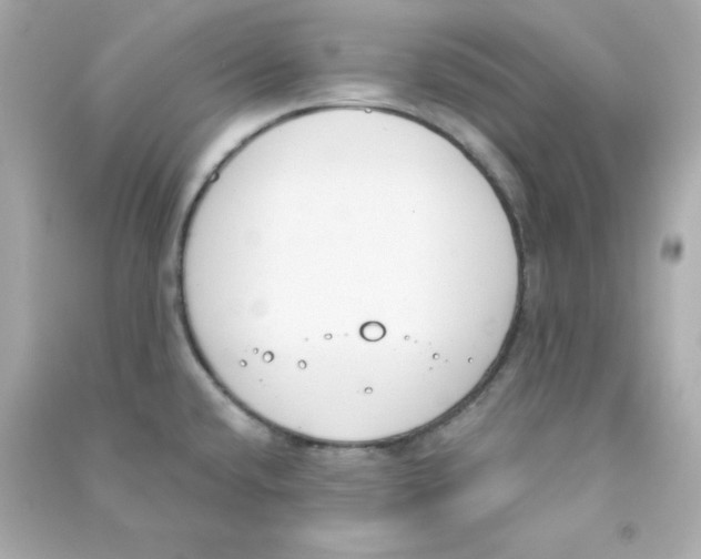 X0000090421432200708101932