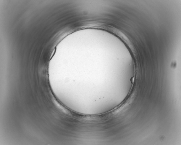 X0000090421433200708101932