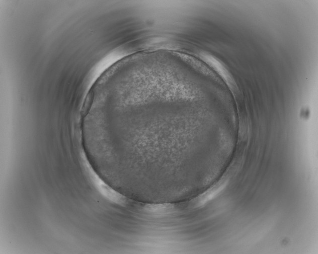 X0000090421434200708101932