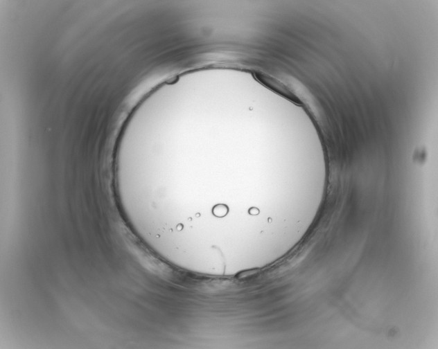 X0000090421435200708101932