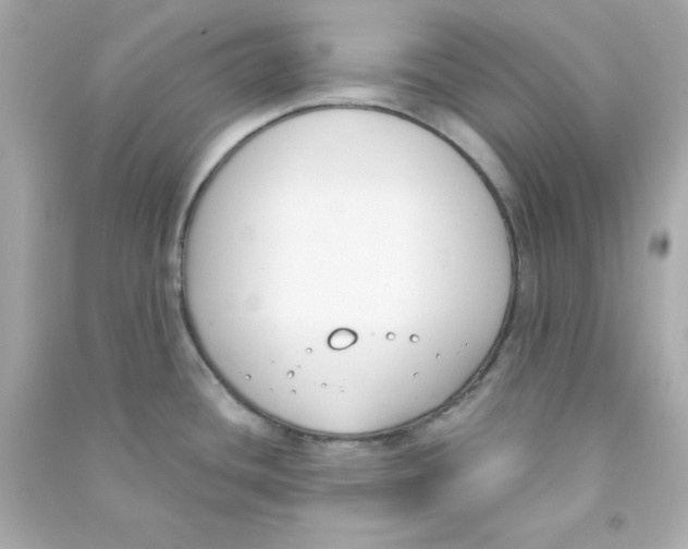 X0000090421436200708101932