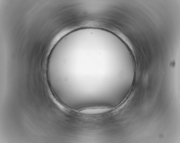 X0000090421437200708101932