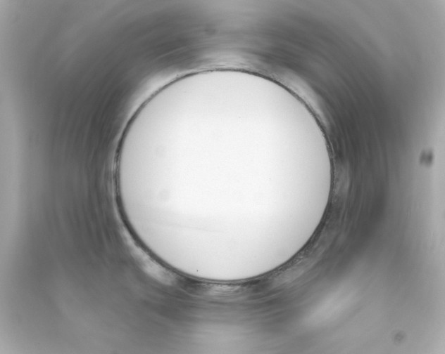 X0000090421439200708101932