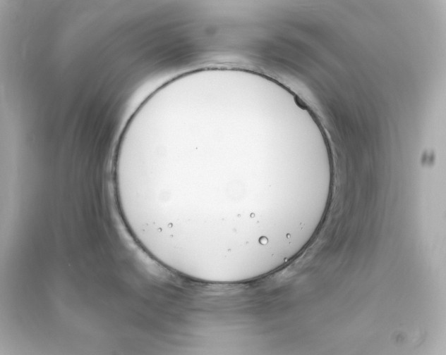 X0000090421440200708101932