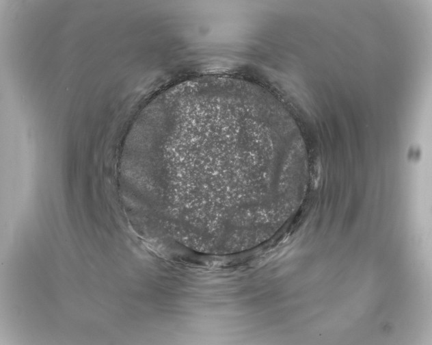 X0000090421441200708101931