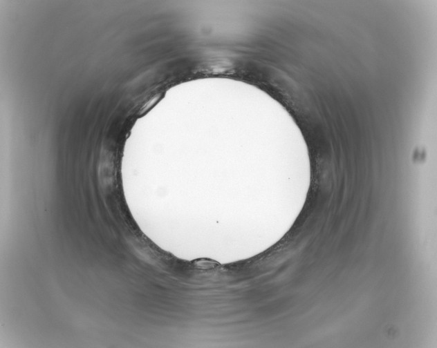 X0000090421442200708101931