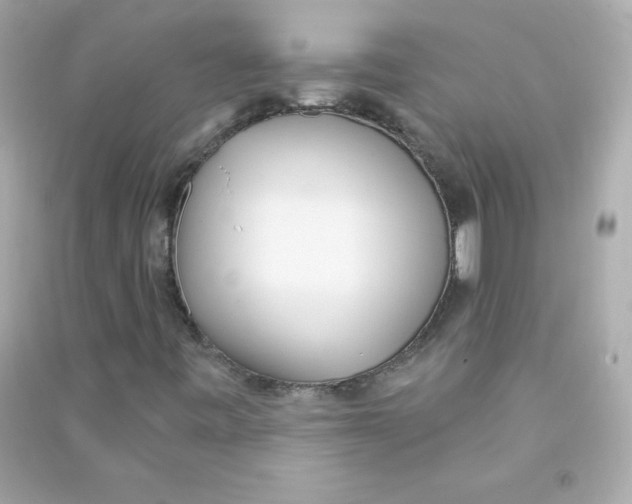 X0000090421443200708101931