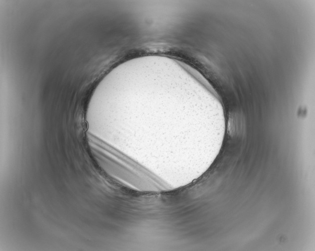 X0000090421444200708101931