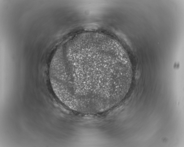 X0000090421445200708101931