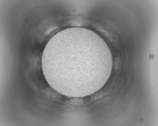 X0000090421446200708101931