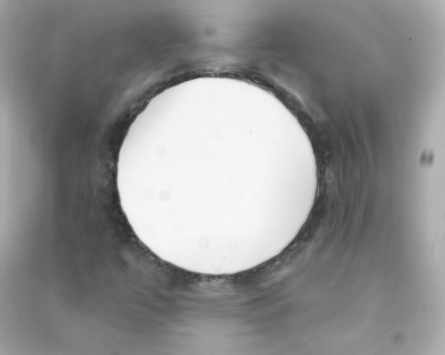 X0000090421447200708101931