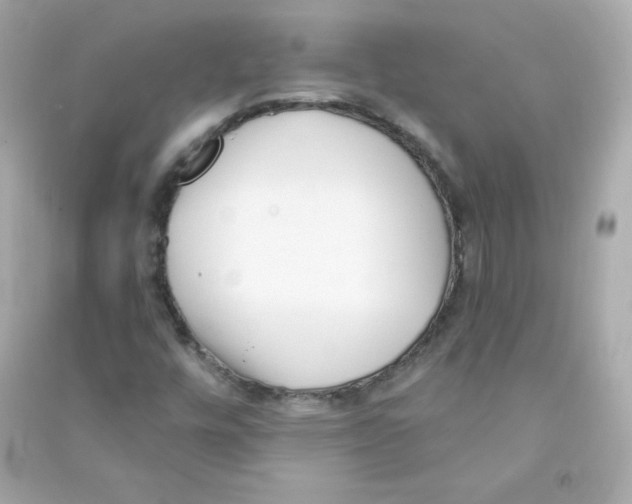 X0000090421448200708101931