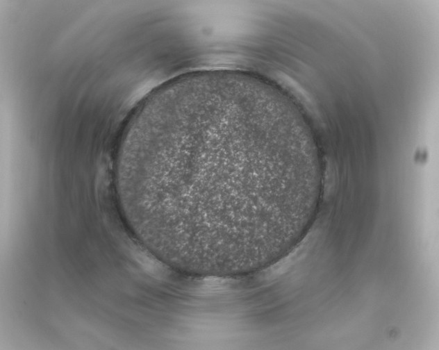 X0000090421449200708101931