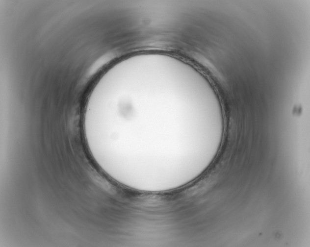 X0000090421450200708101931