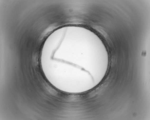 X0000090421451200708101931