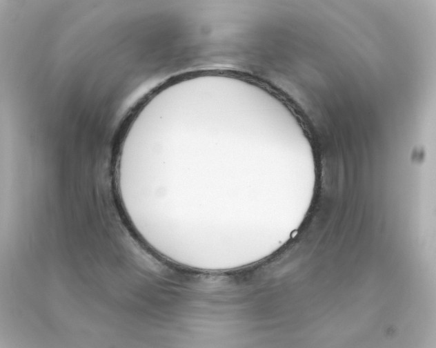 X0000090421452200708101931