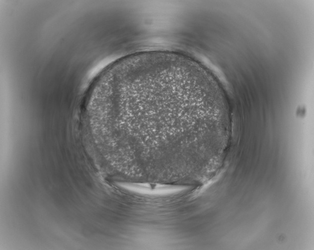 X0000090421453200708101931